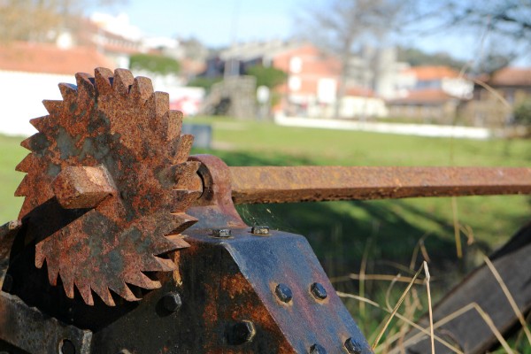 Parques Municipais St. M. Feira   Parques Municipais St. M. Feira