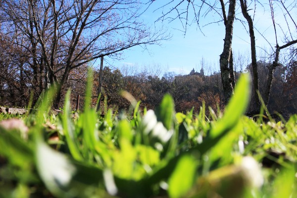 Parques Municipais St. M. Feira   Parques Municipais St. M. Feira