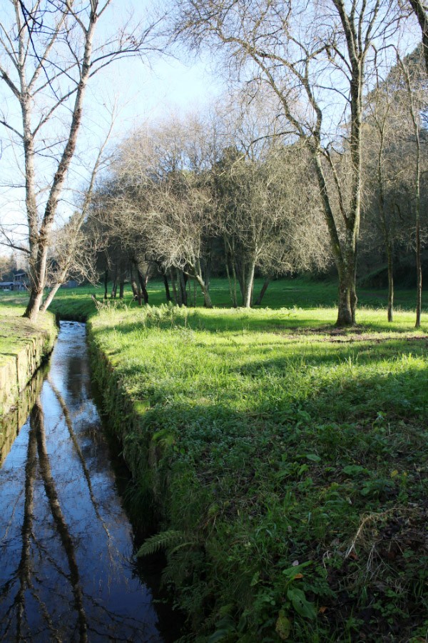 Parques Municipais St. M. Feira   Parques Municipais St. M. Feira