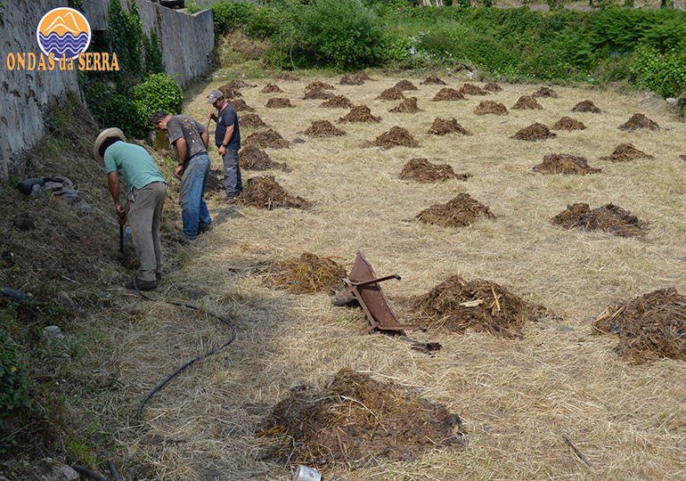 PR13 - Na senda do Paivó - Agricultores em Covêlo de Paivó