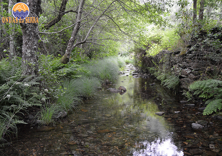 Ribeiro da Mourinha - Janarde - Arouca
