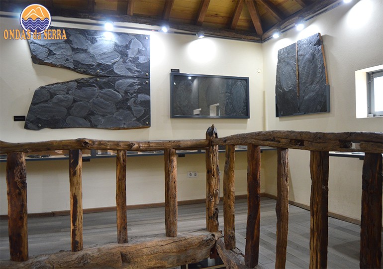 Centro de Interpretação Geológica de Canelas, fósseis de trilobites