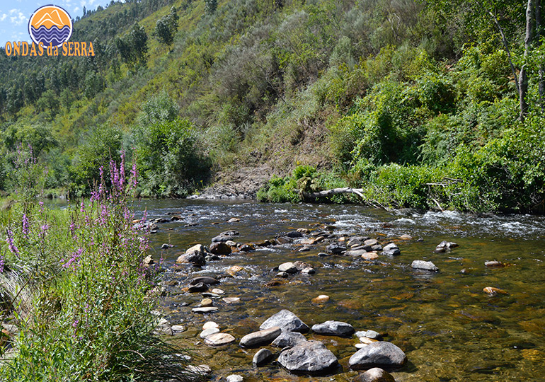 Rio Paiva - Paradinha - Alvarenga - Arouca