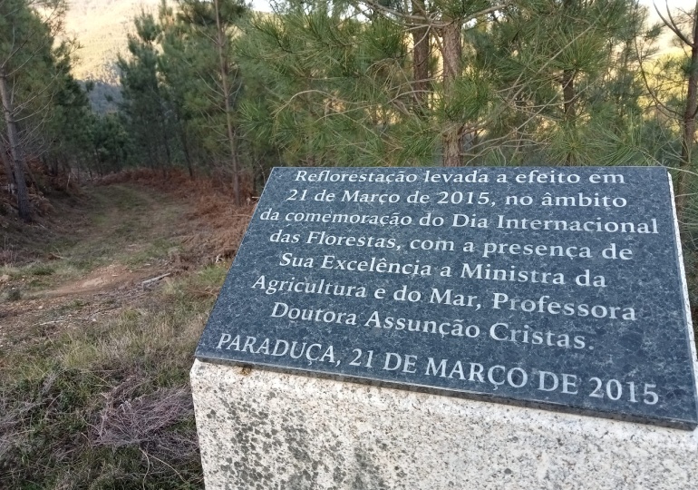 Baldios de Paraduça