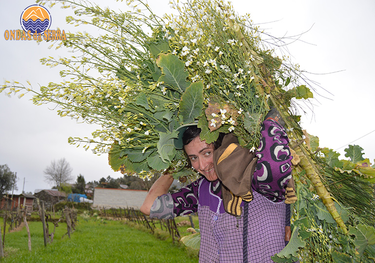 Lealdina Tavares - Paraduça - Arões - Vale de Cambra