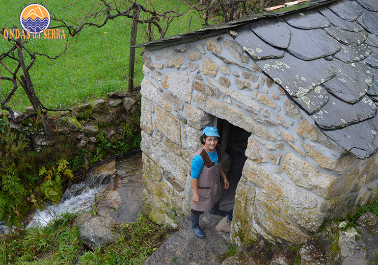 Natividade Portinha - Moinhos das Bouças - Paraduça