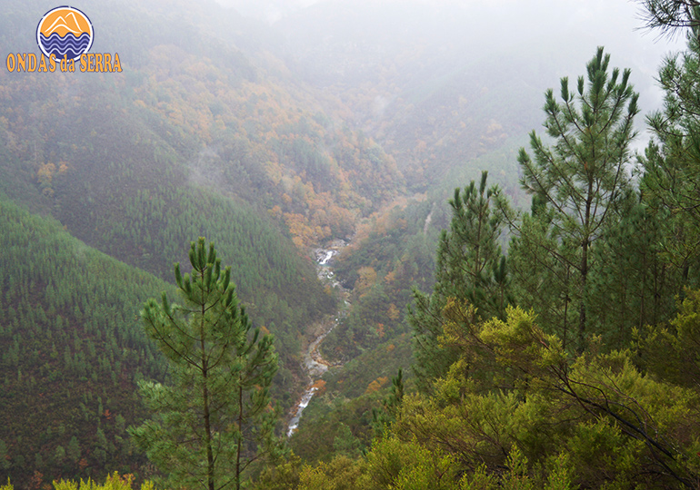 Biodiversidade da aldeia de Paraduça - Arões - Vale de Cambra - Vale do Rio Teixeira