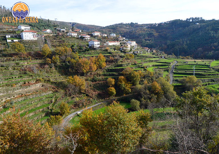 Aldeia de Paço de Mato - Vale de Cambra
