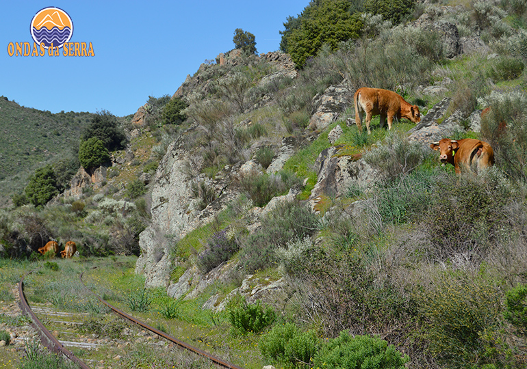 Camino de Hierro - Rota dos Túneis e Pontes