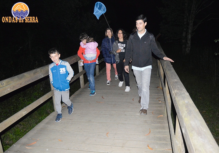 Visita guiada noturna aos pirilampos do Rio Uíma - Fiães - Santa Maria da Feira