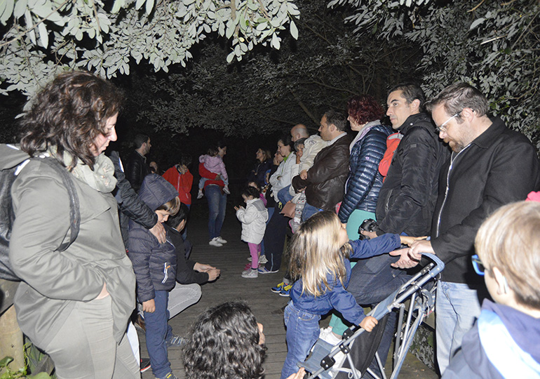 Visita guiada noturna aos pirilampos do Rio Uíma - Fiães - Santa Maria da Feira