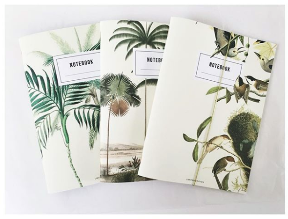 Pack de cadernos da Catita Illustrations Pack de cadernos da Catita Illustrations
