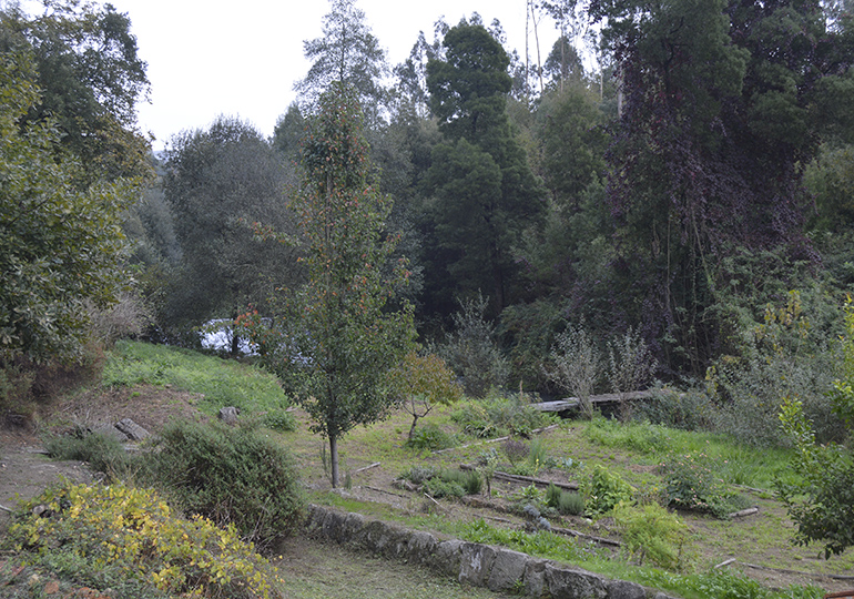 O vale paradisíaco em Madail que a ADUM está a recuperar