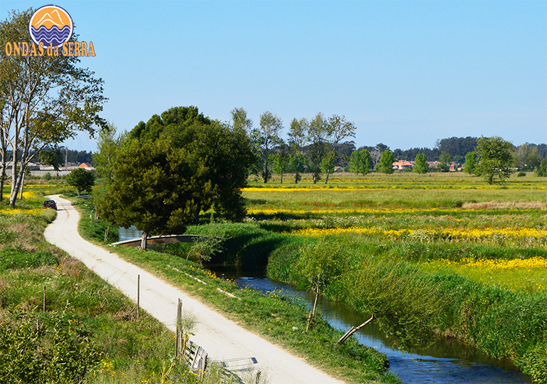 Trilho do Rio Cáster - Ribeira - Ovar