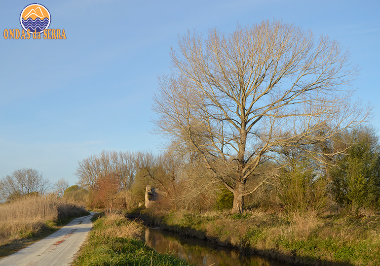 Rio Cáster - Ribeira - Ovar