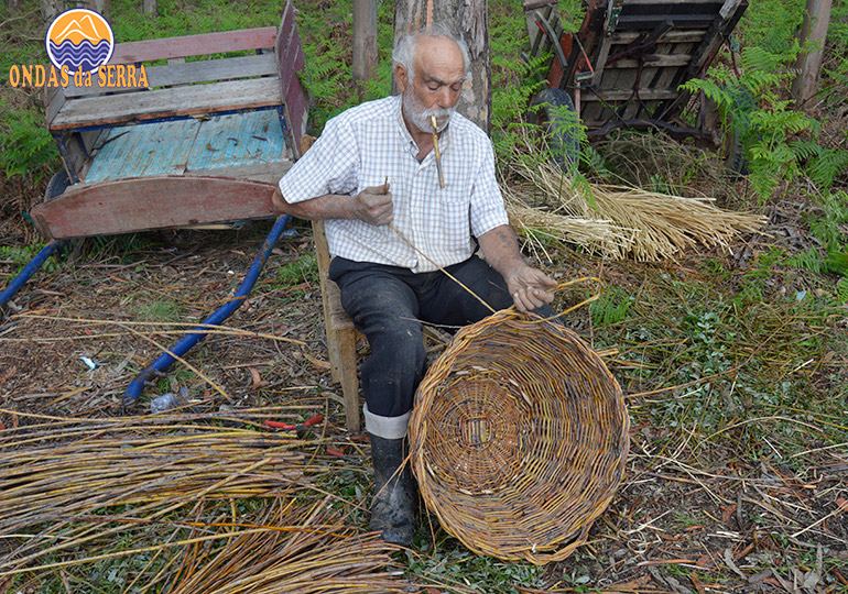 Percursos de bicicleta em Aveiro - Alcino Monteiro Cesteiro