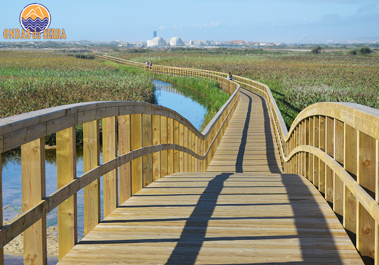 Barrinha de Esmoriz - Lagoa de Paramos