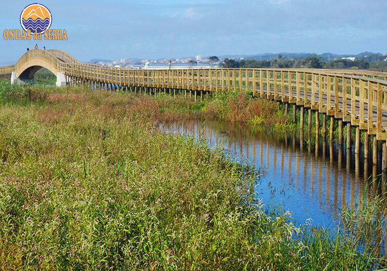 Barrinha de Esmoriz - Lagoa de Paramos