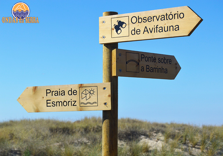 Barrinha de Esmoriz - Lagoa de Paramos