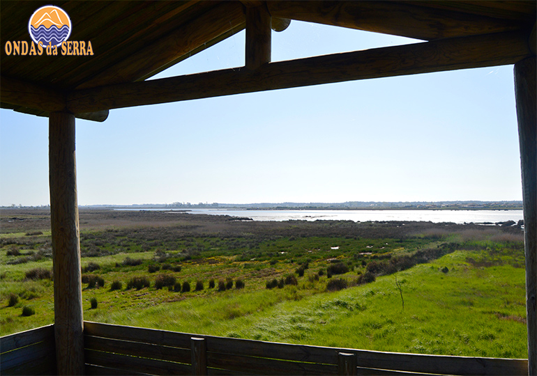 Trilho do Rio Cáster em Ovar