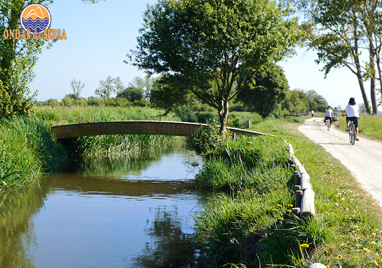 Trilho do Rio Cáster em Ovar