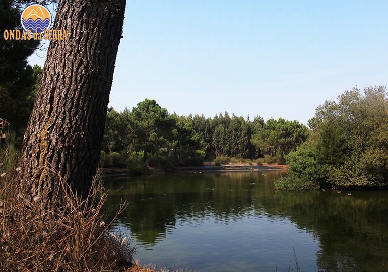 Parque Ambiental do Buçaquinho - Esmoriz - Ovar