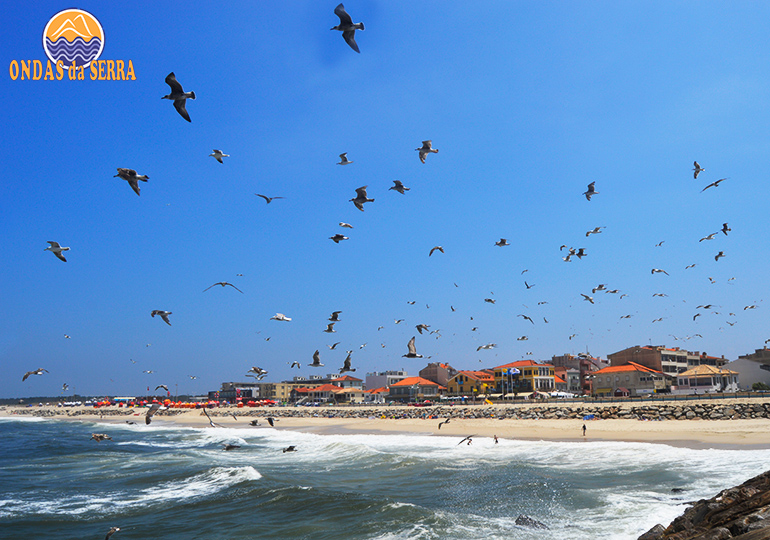 Praia do Furadouro - Ovar