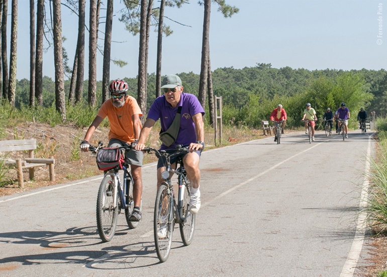 Grupo de amigos amantes da bicicleta - Amigos Bué Cansados - Ovar