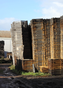 Tanoaria Farramenta - JOSAFER - Esmoriz