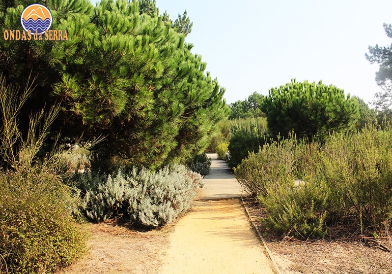 Parque Ambiental do Buçaquinho