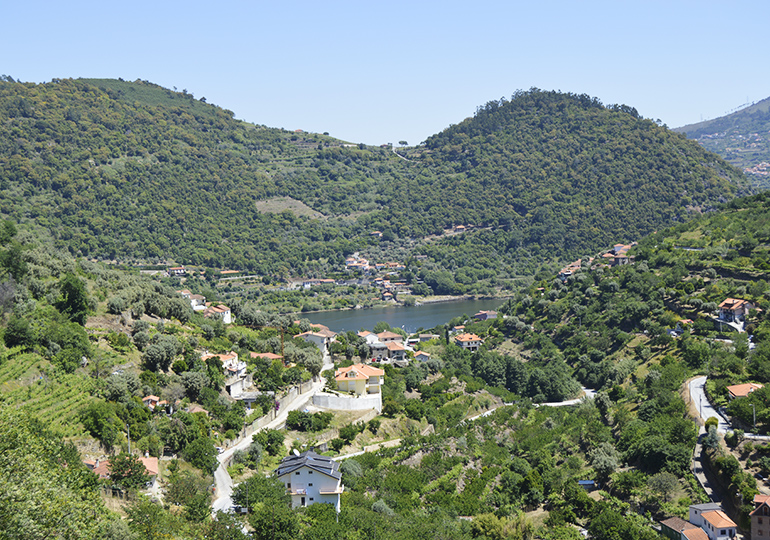 Vista para o Rio Douro - São João de Fontoura - Resende