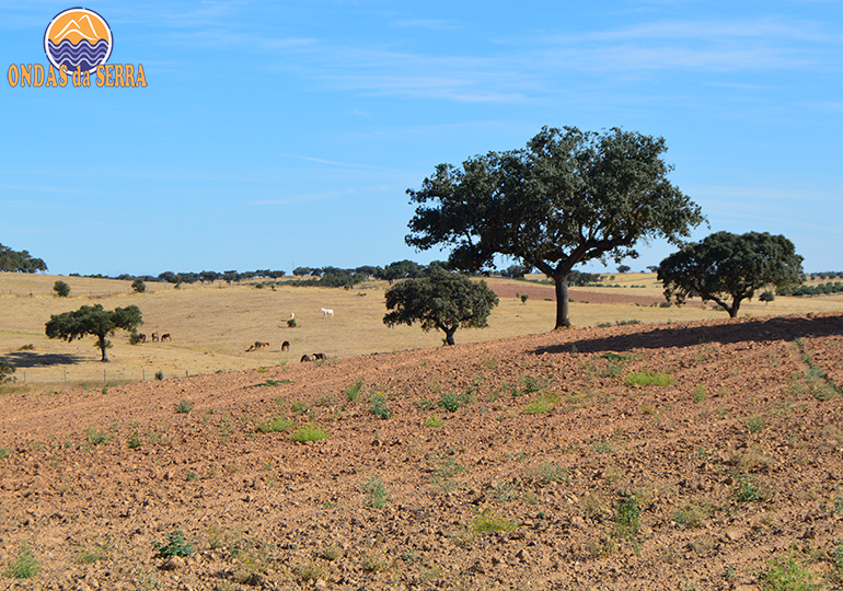 O que fazer no alentejo. Montes Alentejanos