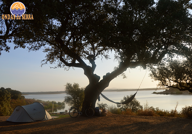 O que fazer no Alentejo. Parque de campismo de Odivelas - Ferreira do Alentejo