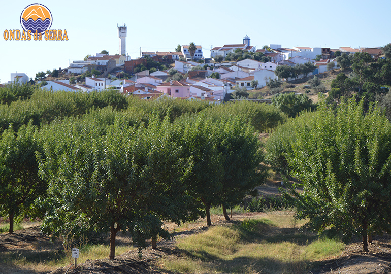 Aldeia de Odivelas – Ferreira do Alentejo