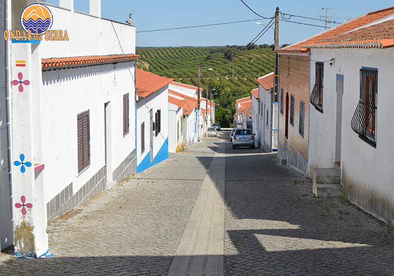 Campos Agrícolas – Ferreira do Alentejo