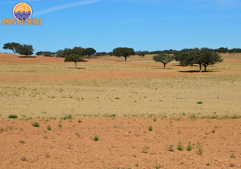 Percurso Pedestre PR2 – Rota da Água – Ferreira do Alentejo