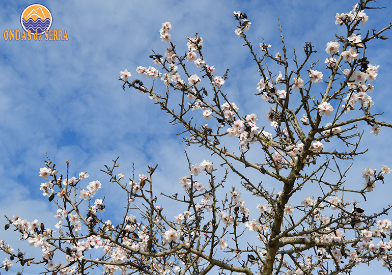 PR14 - Rota das Amendoeiras - Torre de Moncorvo