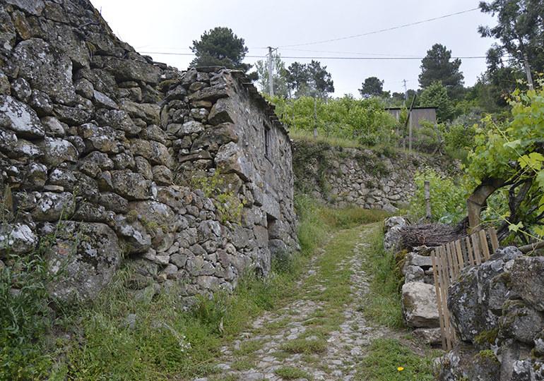 Covelinas - Vale do Cabrum - Resende