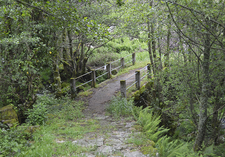 Ponte da Laje - Vale do Cabrum - Resende