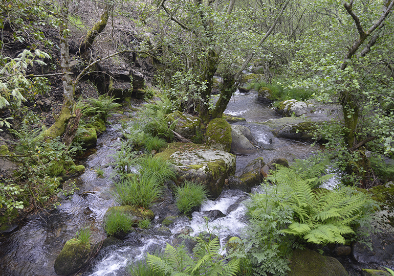 Ribeira do Taquinho e Ribeira do Marinheiro - Vale do Cabrum - Resende