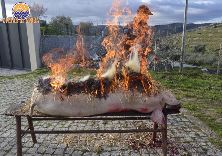 Rota das Pipas 2024, matança do porco em Açoreira - Torre de Moncorvo
