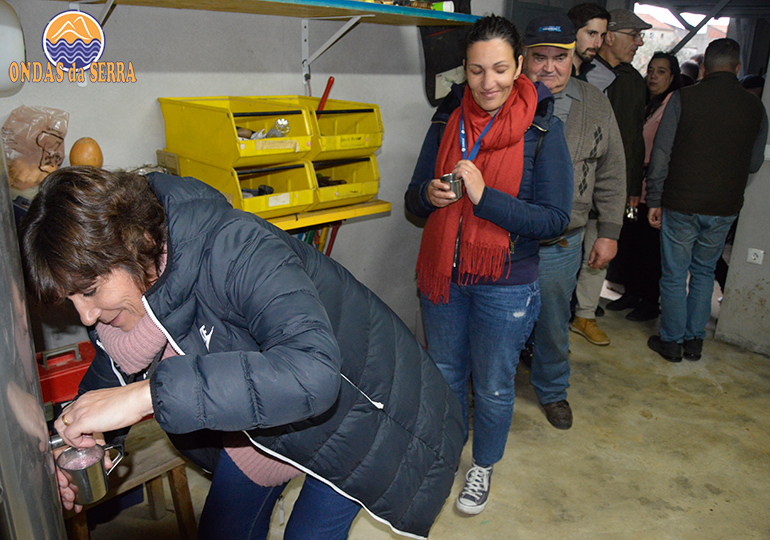 Rota das Pipas 2024 - Açoreira