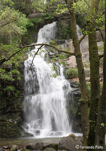 Cascata da Cabreia - Silva Escura - Sever do Vouga