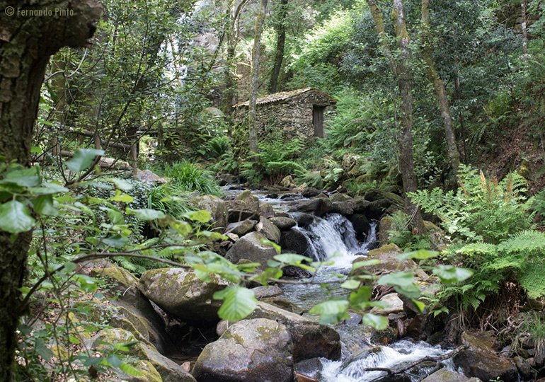 Parque da Cabreia - Silva Escura - Sever do Vouga