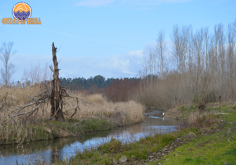 Rio Cértima - Águeda
