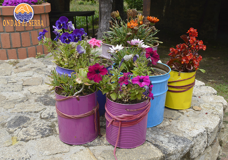PR2 - Rota dos Três Rios - Vasos floridos em Ribeira de Fráguas