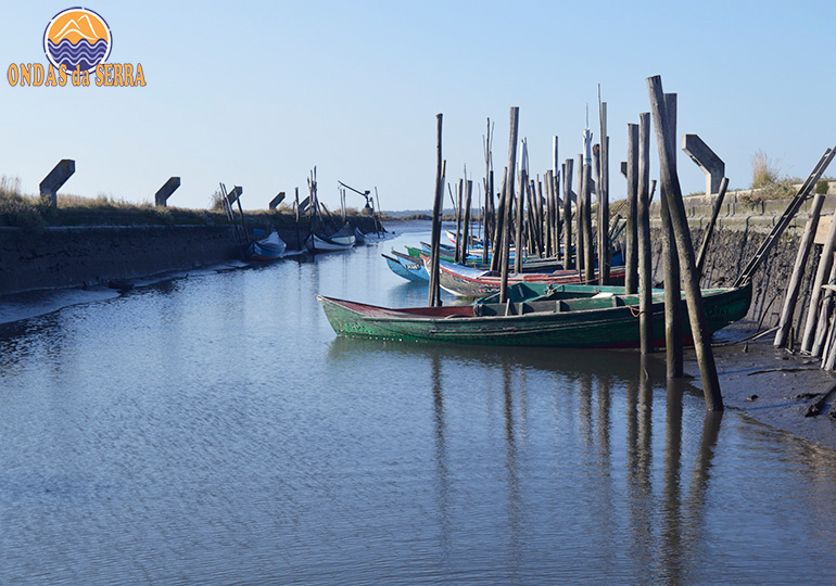 Ribeira da Aldeia - Ria de Aveiro - Pardilhó - Estarreja