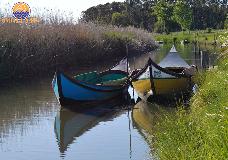 Ribeira do Mourão - Ria de Aveiro - Avanca - Estarreja