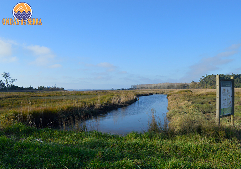 Percurso das Ribeiras de Pardilhó - Ribeira do Telhadouro