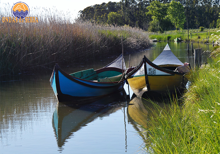 Percurso das Ribeiras de Pardilhó - Ribeira do Mourão